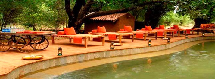 715/Taj Mahua Kothi Bandhavgarh National Park - Umaria 07.jpg